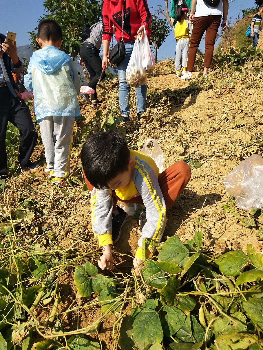 攀枝花服务器租用厂家的奇妙世界