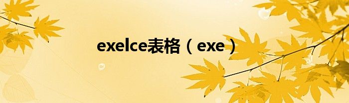 exelce 产品全解析