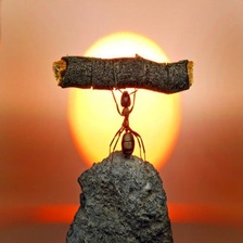 遇到WordPress站点编辑器空白问题时,应该如何解决?