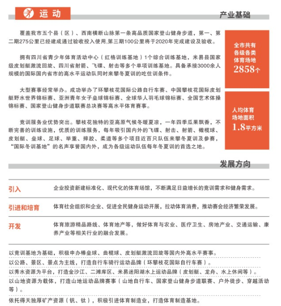 攀枝花服务器租用厂家的奇妙世界